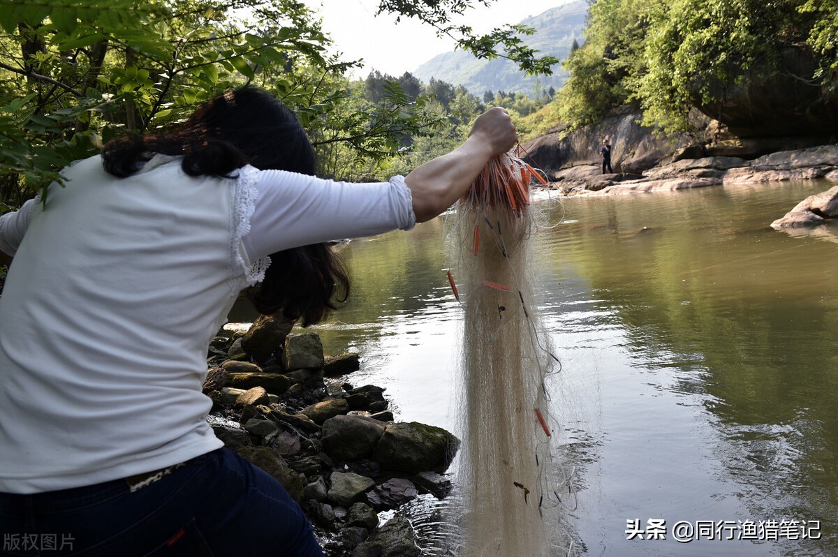 粘网捕鱼怎样下网小河,粘网捕鱼怎样下网分解图