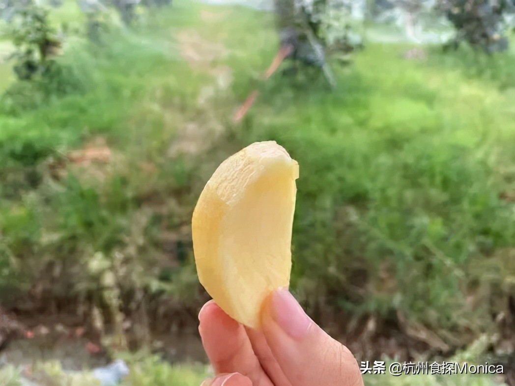 私藏十大好物推荐,杭州周边三天游攻略