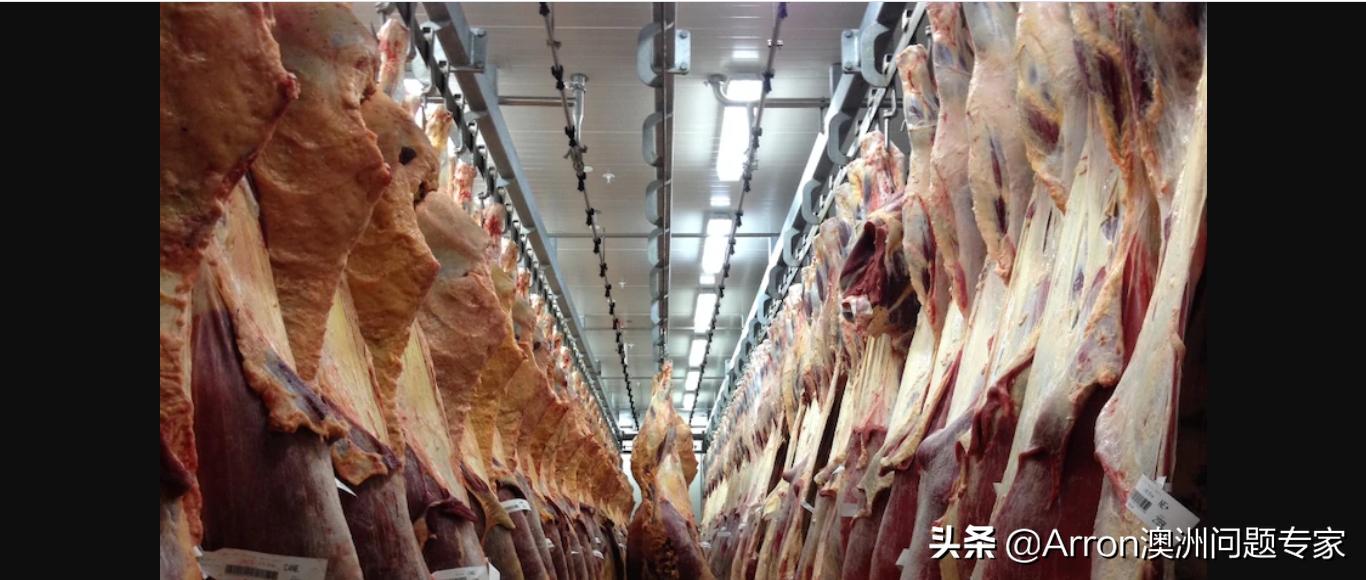 澳大利亚剔骨工到底有多累,澳大利亚剔骨工现状