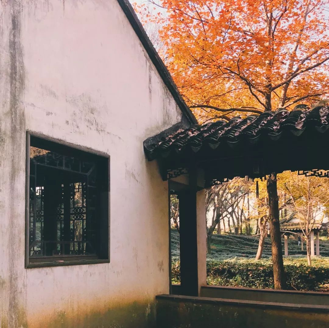 一入秋苏州成姑苏,秋色一入秋苏州就成了姑苏