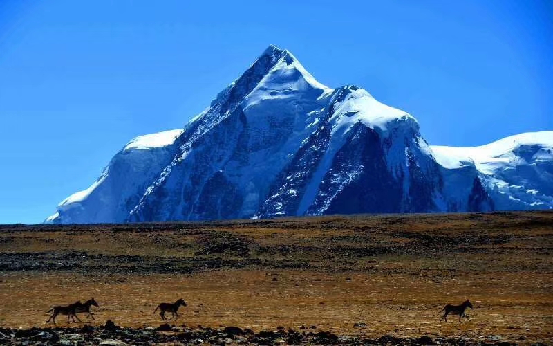 如果你害怕就说明你已经输了,如果你害怕那就意味着你已经输了