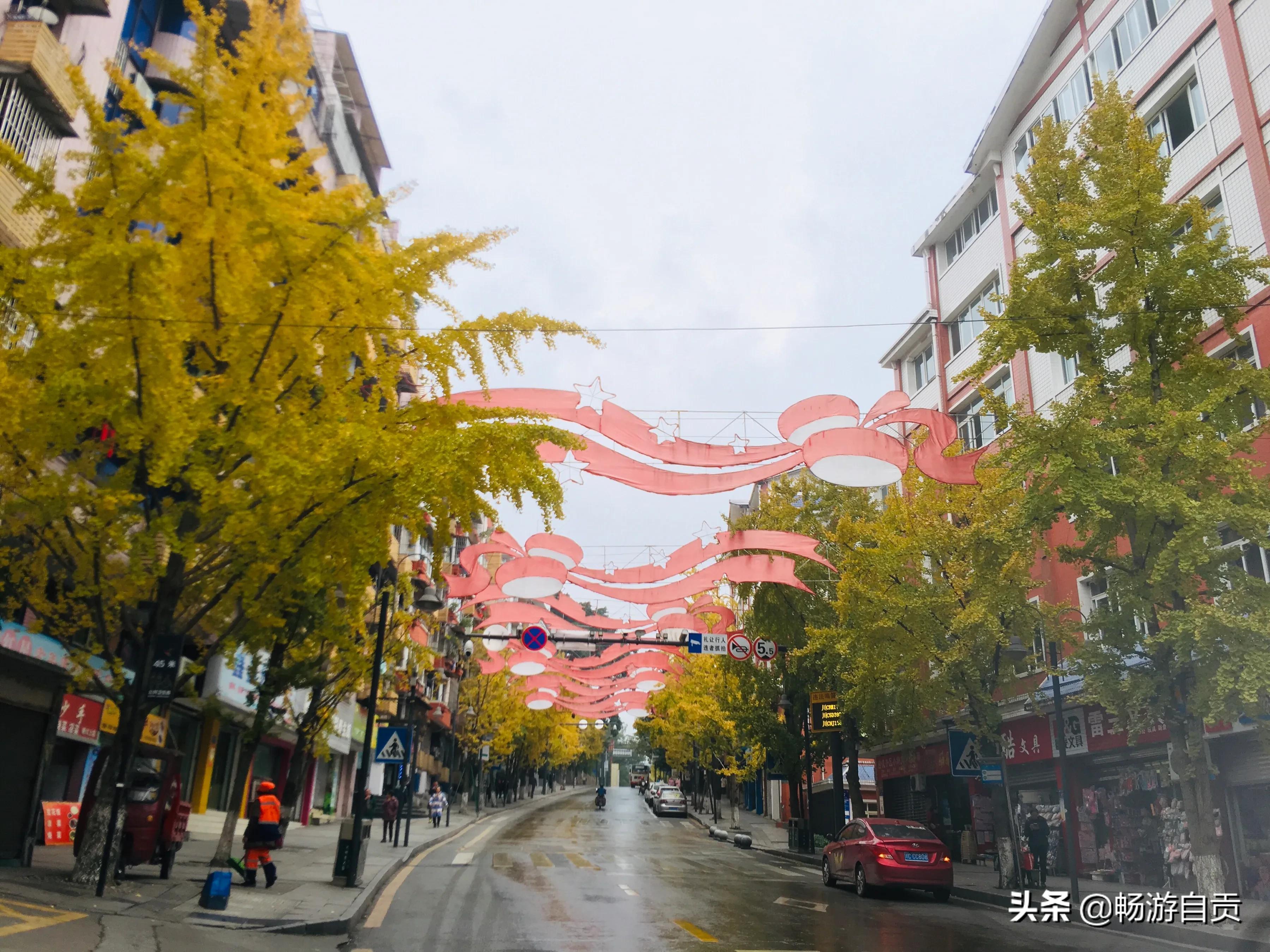 恰逢仲冬季节，追寻自贡唯美黄金叶