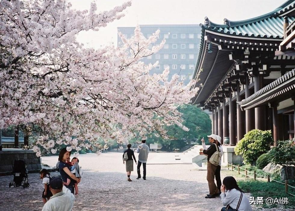 全球排名前十的最佳旅行城市,全国旅游100强城市排名