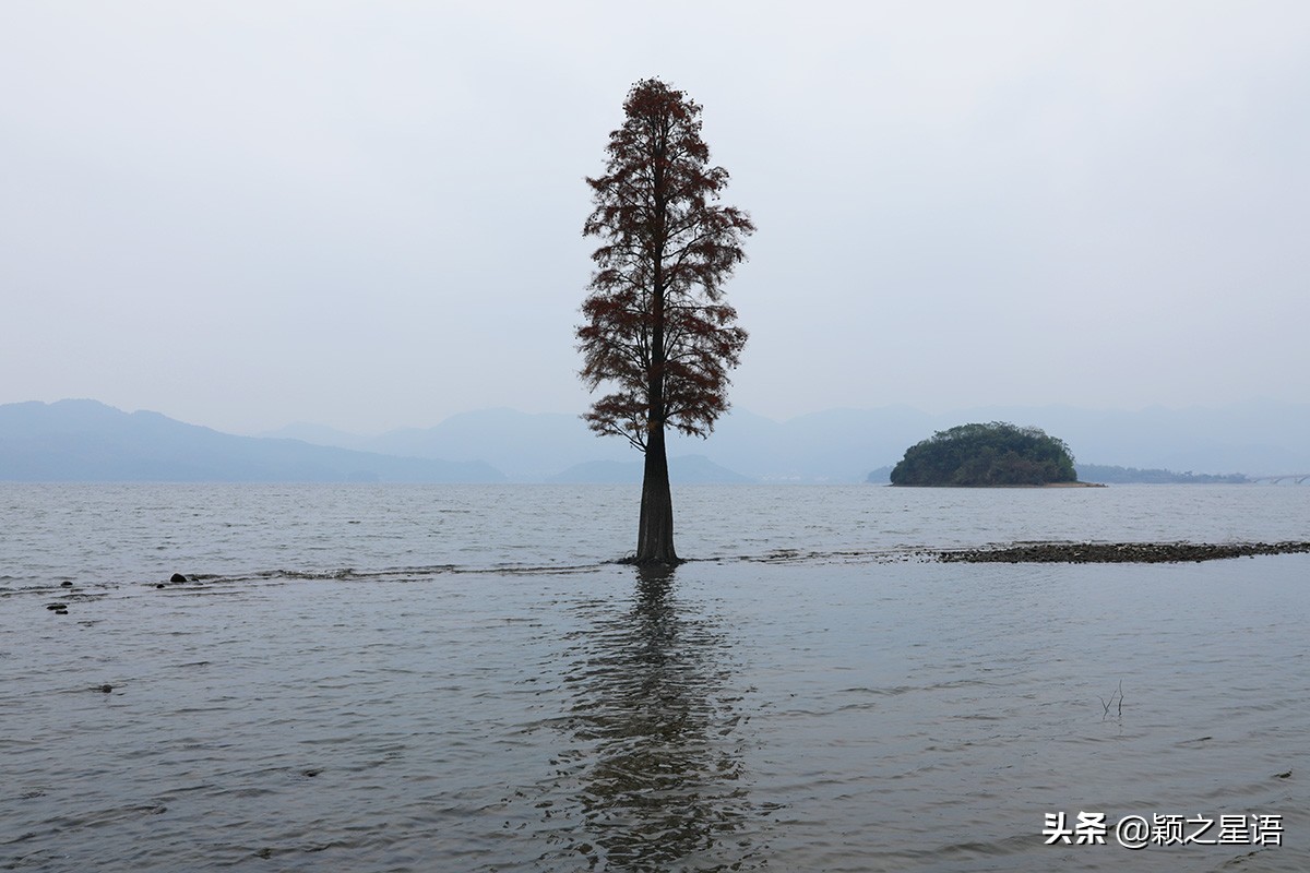 浣水桥在哪里,玉兔岛海滨风景