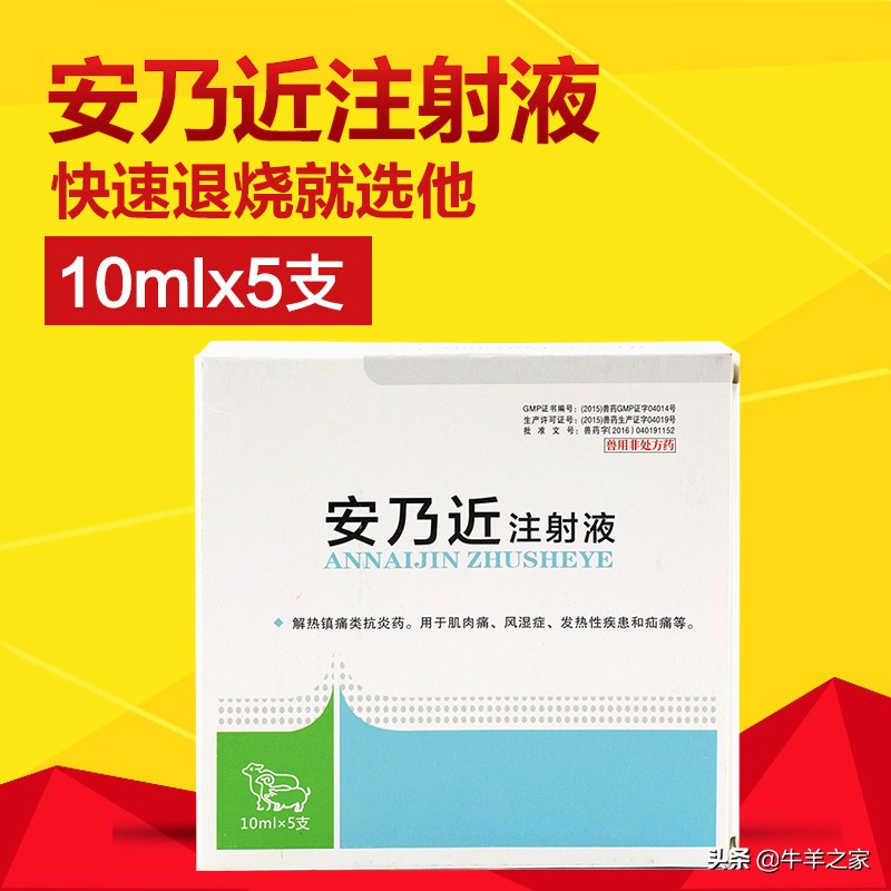 冬季孕牛防流产措施