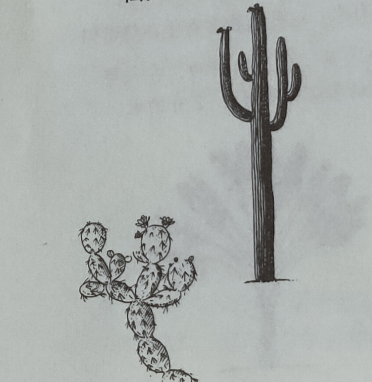 野外求生获取水,野外求生怎么获得水