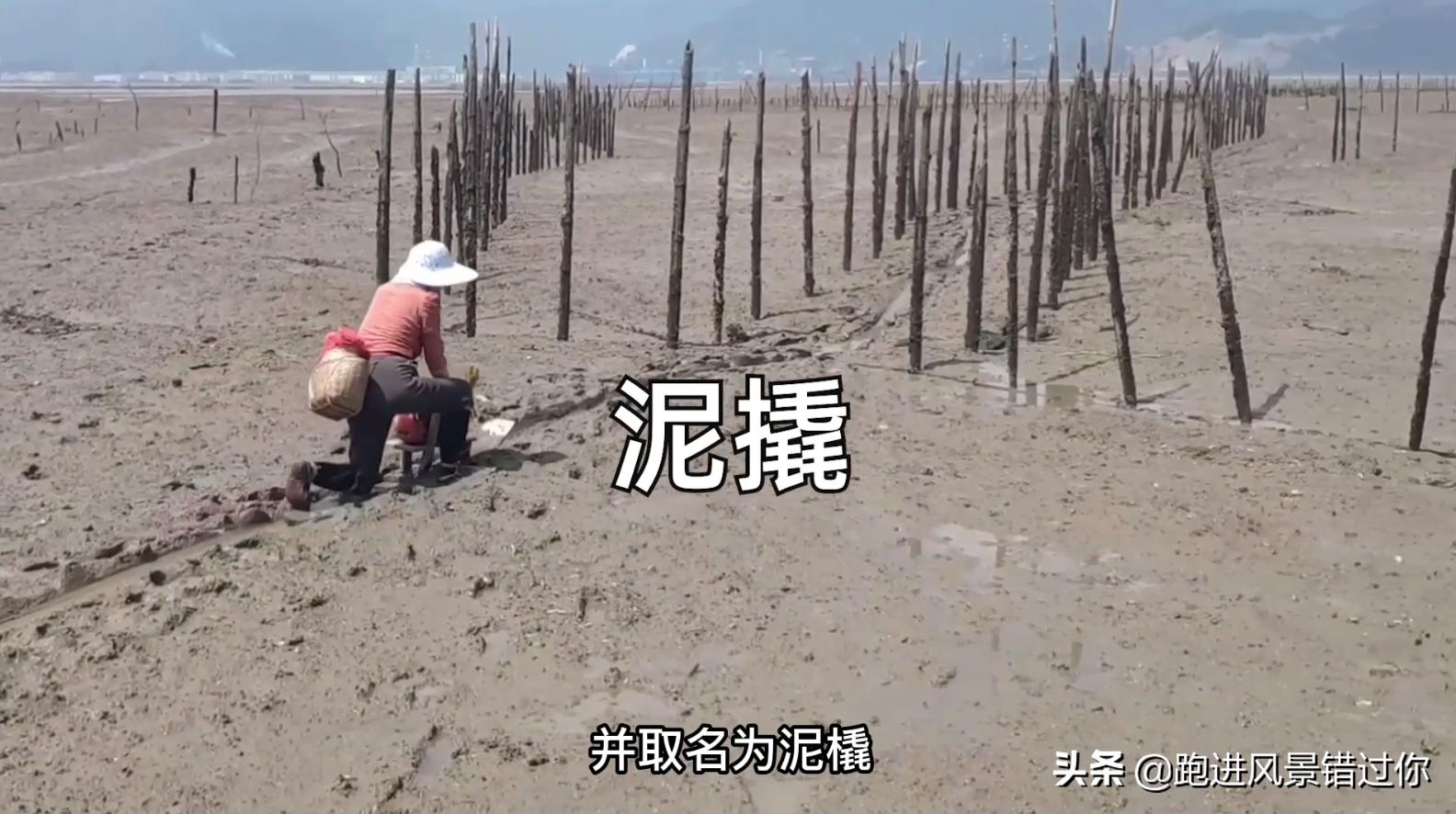 福建最富有的土豪村房子,福州最有钱的村