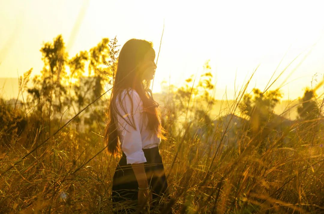 用一句诗词总结你的2020，你会用哪一句？