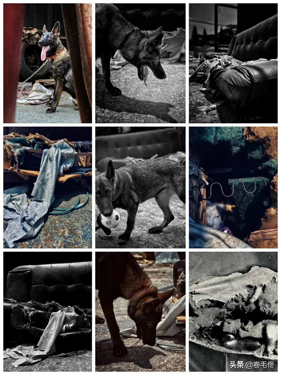 手机拍大片人像,如何拍手机照片最好看