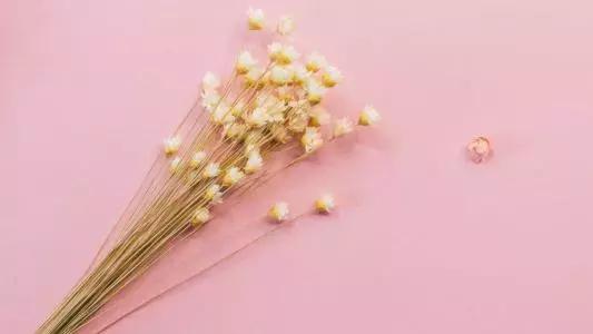 情人节收到的花别扔,情人节花别丢