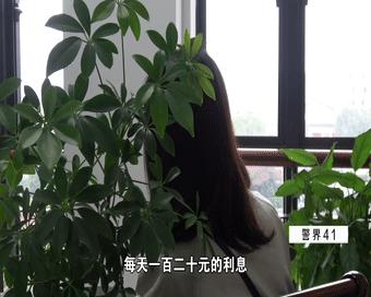 女子租车却发生交通事故,租车出车祸被索赔五万元合理吗