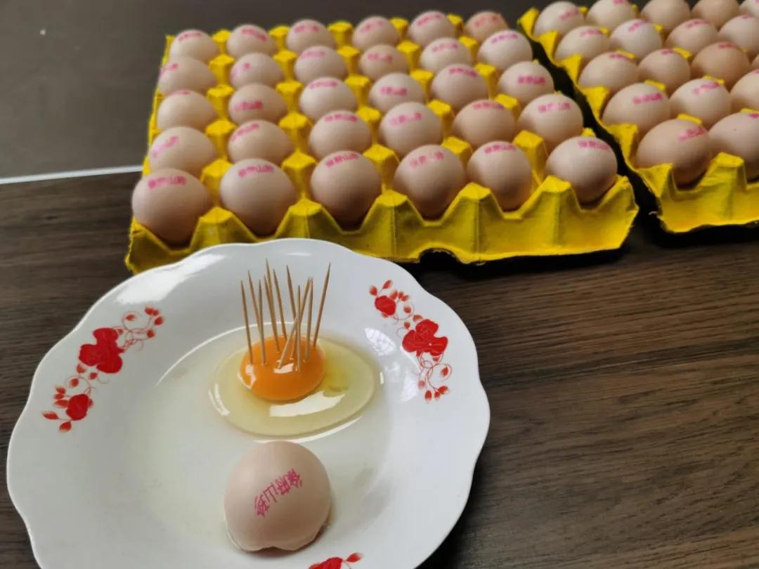 宏昌蛋鸡养殖公司,宏昌生态蛋鸡