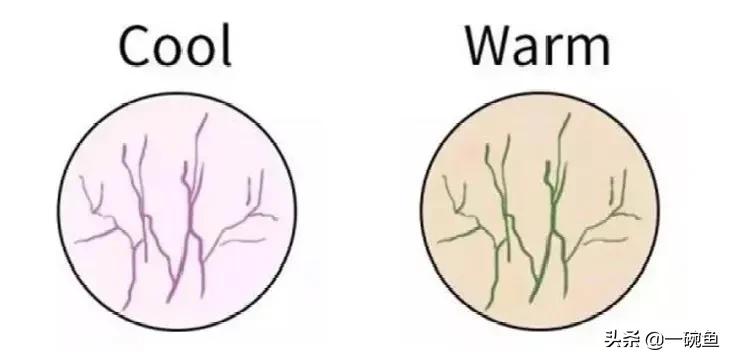 亚洲人适合的欧美发色,亚洲人适合染什么发色