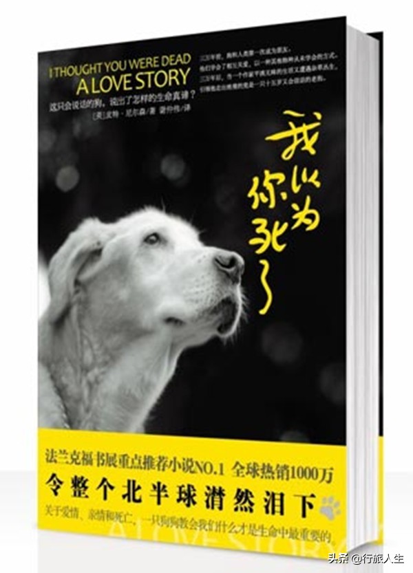 一条狗的生命有多长,一条狗的人生命运