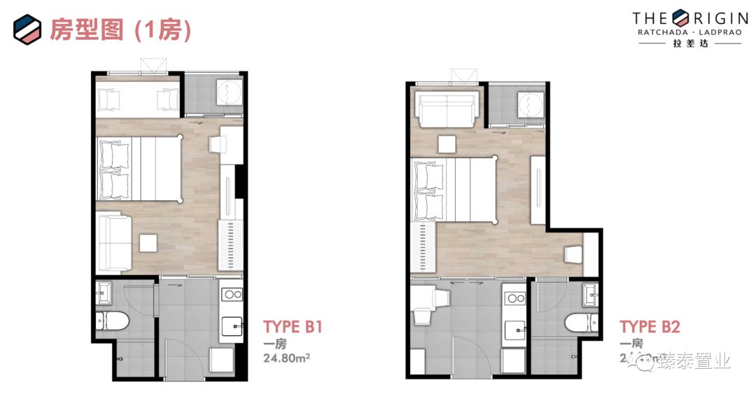年轻生活！THEORIGIN拉差达性价比之王