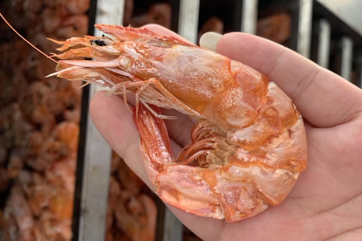 鱼吃不完怎么才能保鲜,鱼虾蟹过顿还可以吃么