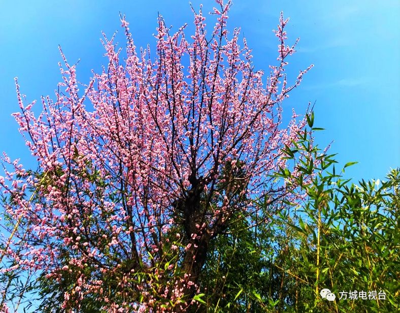 鍖绘姢浜哄憳鎶楀嚮鐤儏杞紤,绂瑰窞鐤儏鍖绘姢浜哄憳杞紤