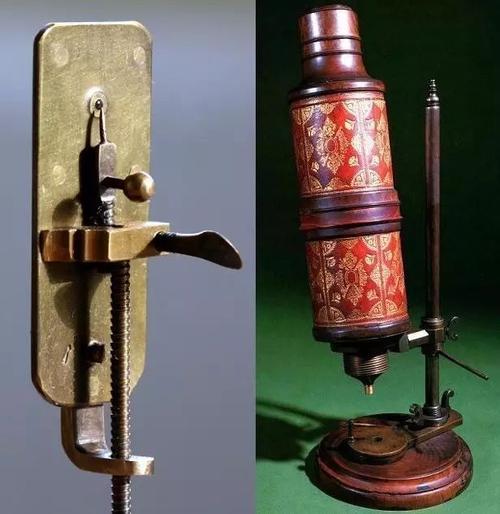 错了340年,精子游泳的方式并不是左右摆动尾巴