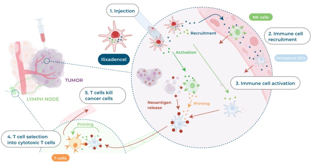 下一代癌症疫苗,肿瘤疫苗效果