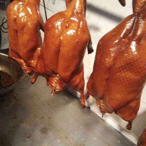 正宗烧鸭的制作方法,烧鸭的制作流程和方法视频