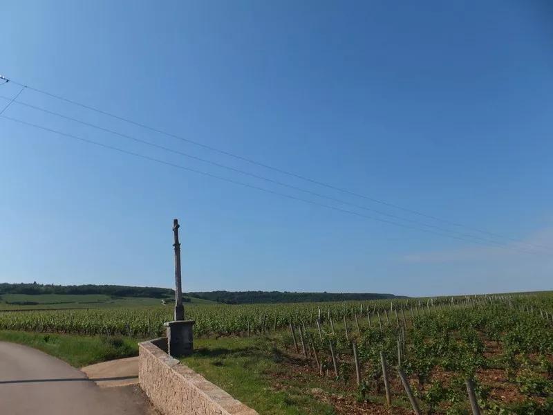 2023全球最受欢迎葡萄酒品牌,全世界葡萄酒推荐排行榜前十名