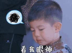 如何用茶梗去除新车气味,新车内部气味怎么去除