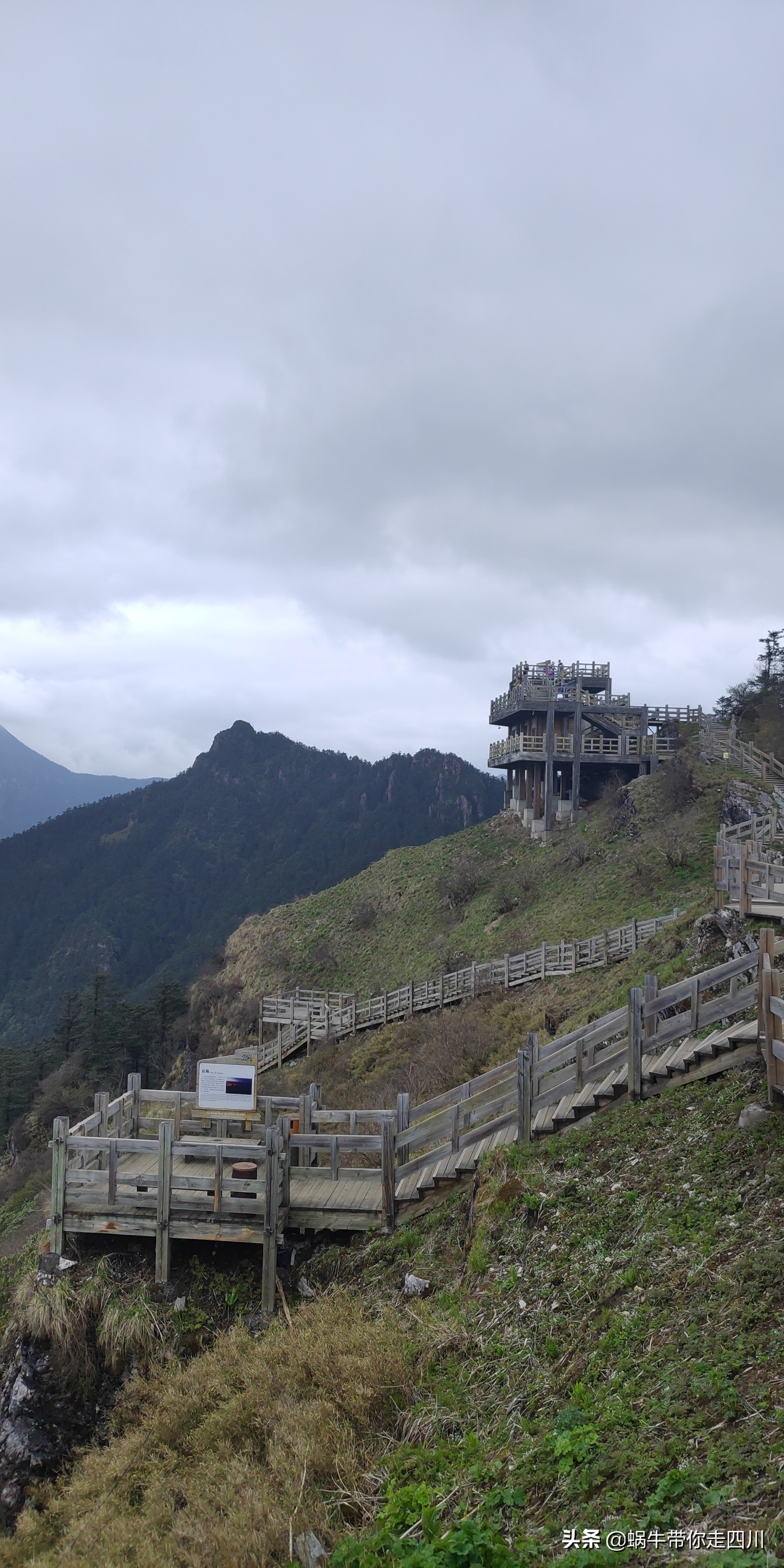 成都去西岭雪山两天一夜旅游团,成都出发雪山旅游