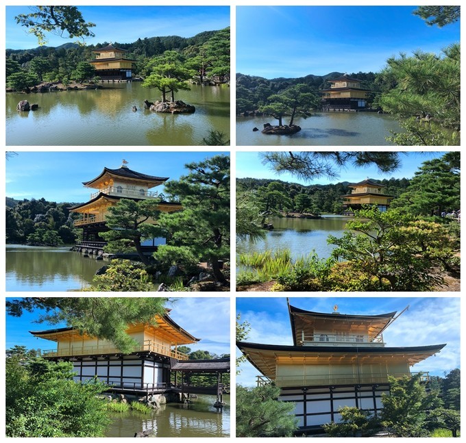 箱根到奈良如何坐车,日本东京京都箱根大阪奈良8日游