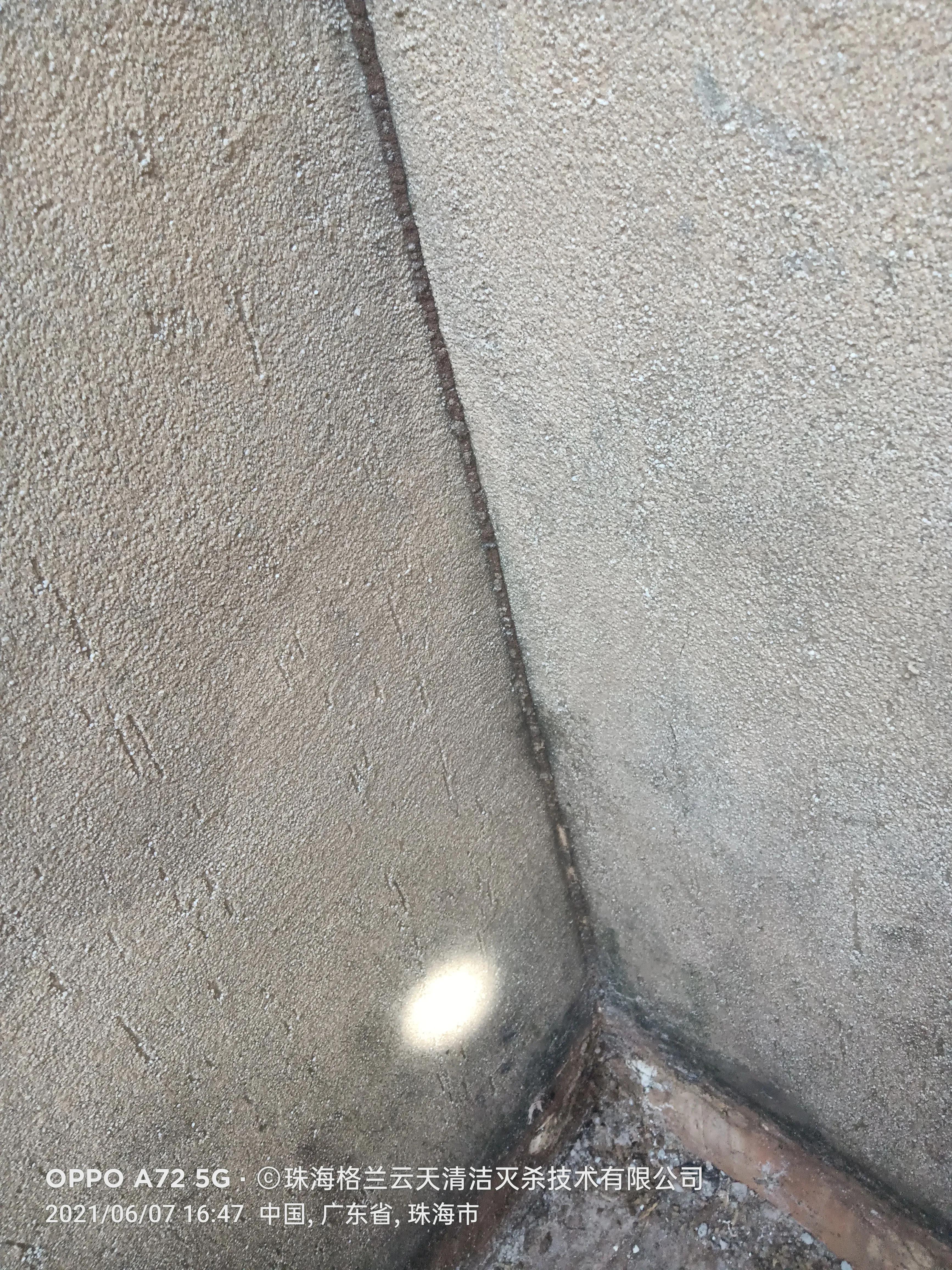 珠海白蚁防治找哪家,珠海白蚁防治服务公司