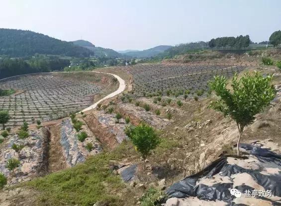 沃野千里风景图,山乡巨变之美不胜收