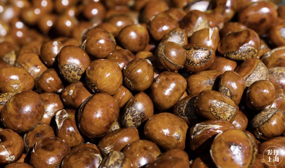 对不起！你对乍浦路一无所知