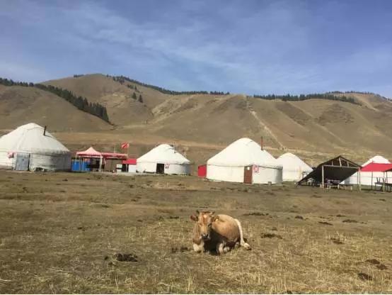 原创生活旅行,原创旅行作品