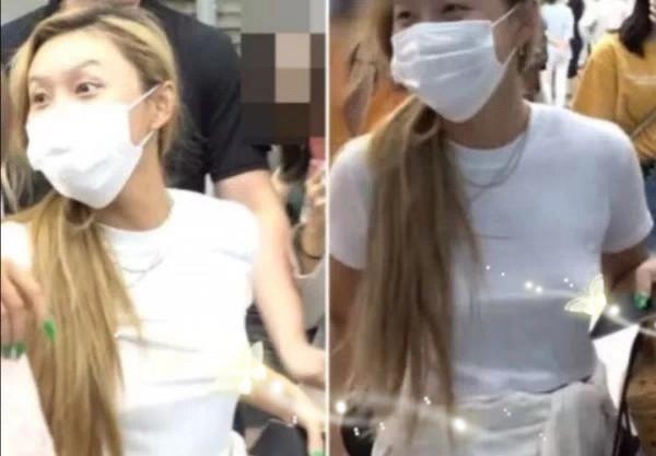 华莎机场造型引热议,华莎造型图片