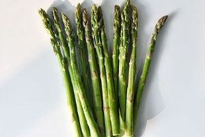 益阳沅江芦笋能做馅,益阳沅江芦笋是什么季节的