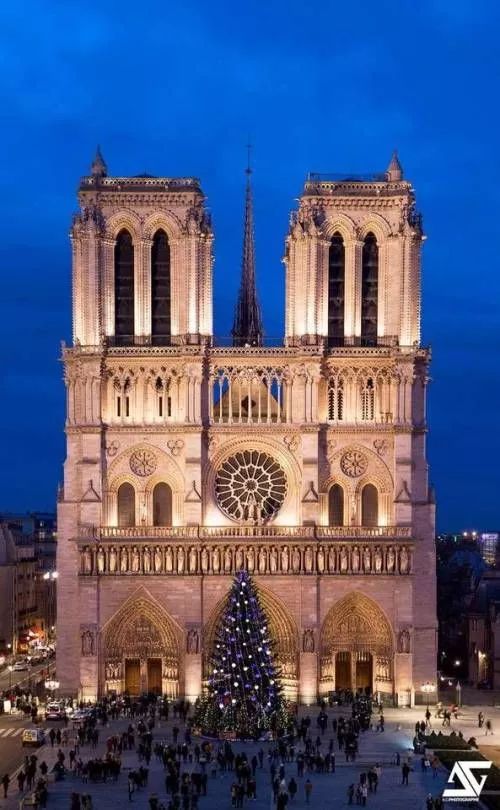 巴黎圣母院被烧毁的文物,巴黎圣母院被烧掉