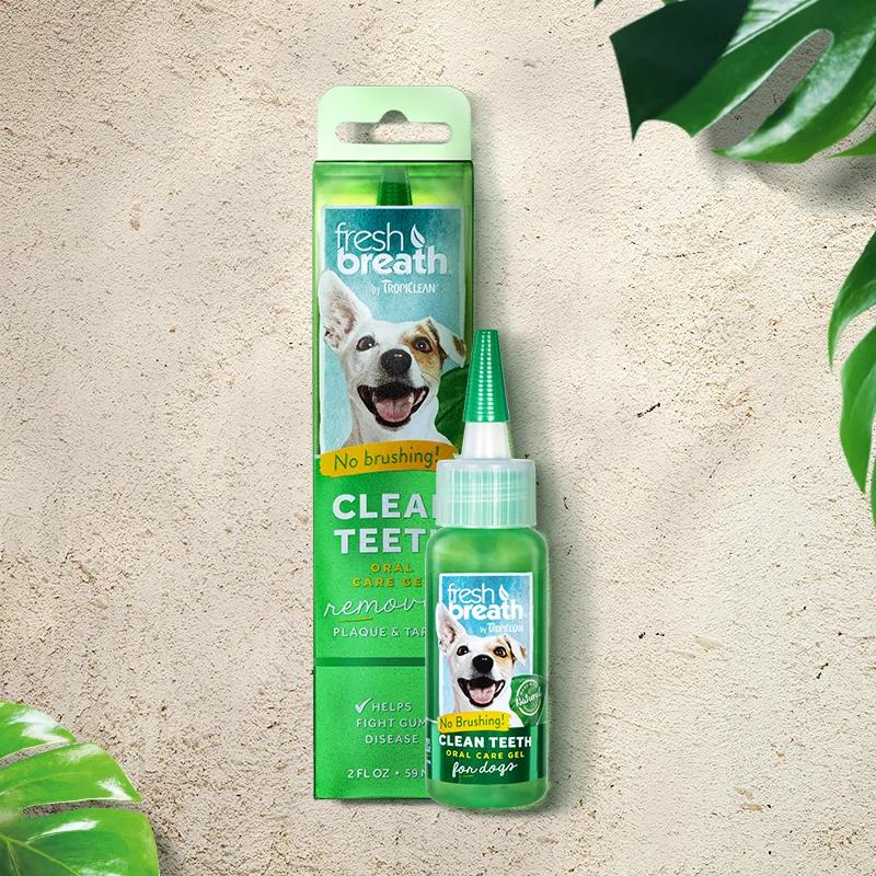 狗去除牙结石有危险吗,狗去牙结石最有效的办法