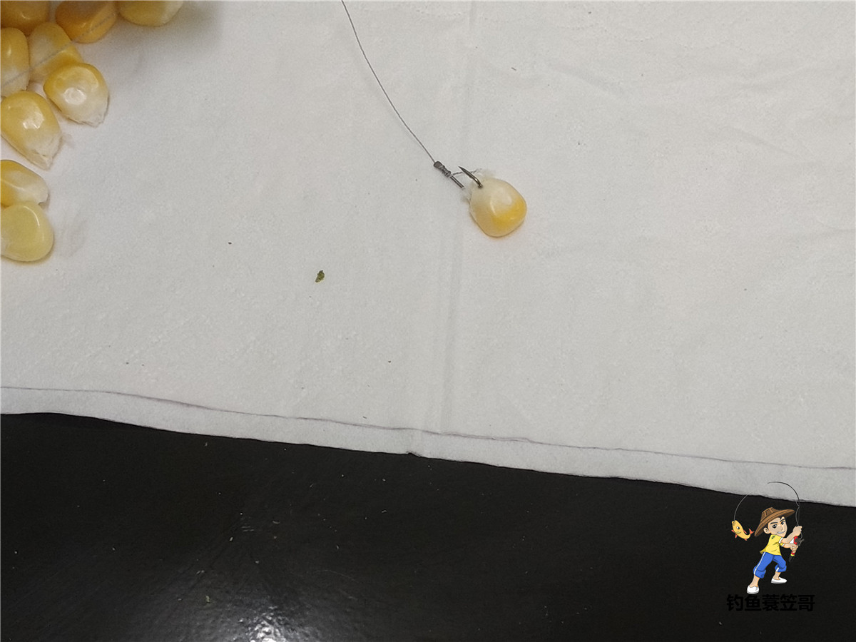 老坛玉米怎么挂钩容易中鱼,玉米钓鱼什么挂法最实用