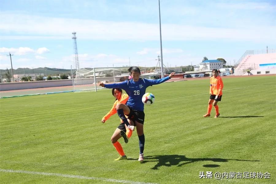 内蒙2024足球夏令营,内蒙古青少年足球夏令营队标