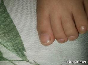 德国造指甲刀哪里有卖,德国制造指甲剪