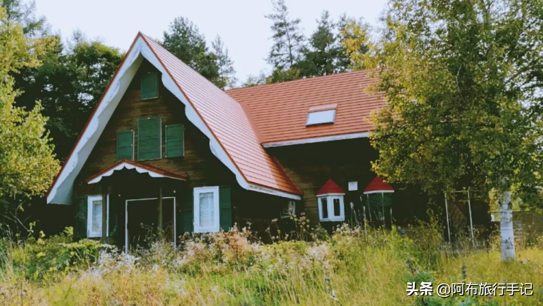 日本花海,日本30个最美花海