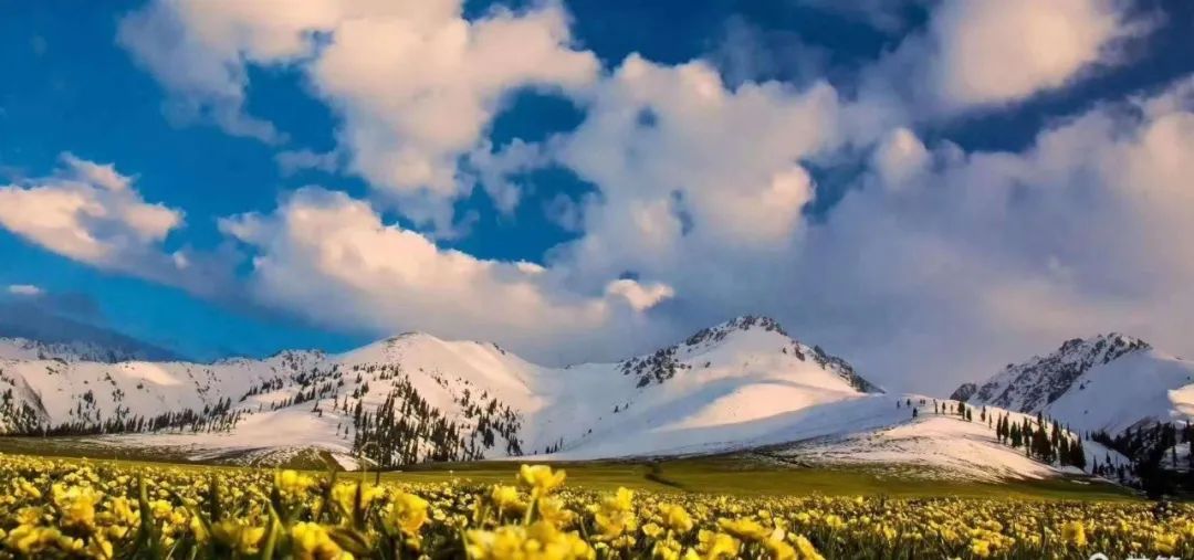 伊犁最美的50处绝色美景,伊犁最美的小众景点