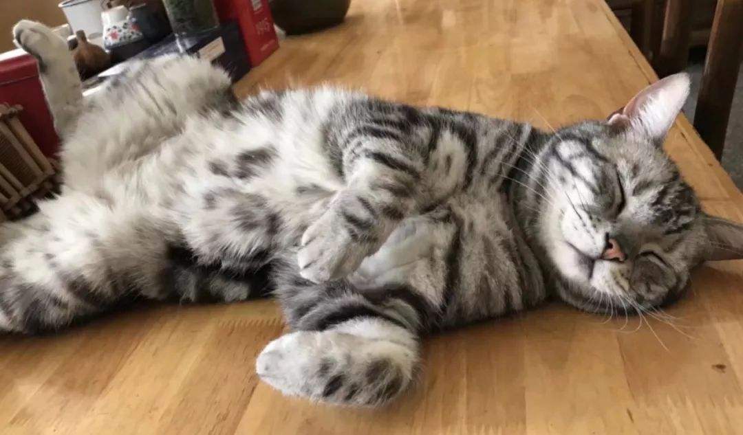 三十而已大结局钟晓芹怀孕,钟晓芹再次怀孕大结局