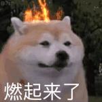 我在抖音当网红,闲鱼上的潮人