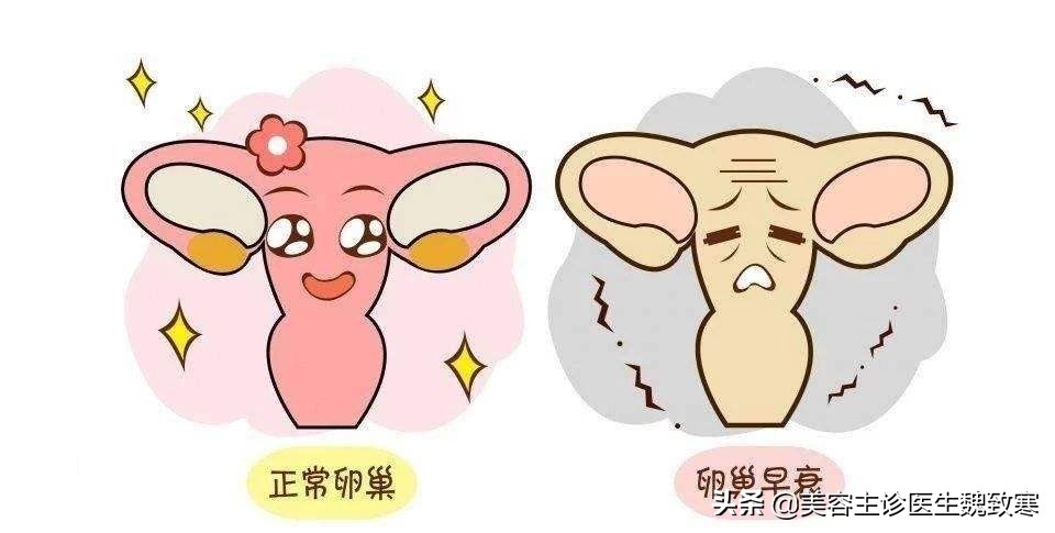 魏致寒:*处私**不注重呵护“老得快”?分享方法给大家