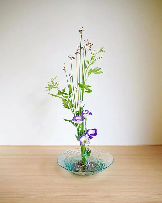 一花一世界一叶一菩提本来无一物,一花一世界一叶一菩提一场梦