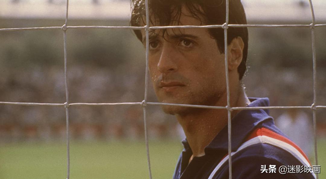 贝利史泰龙主演的电影,贝利和史泰龙合作的电影