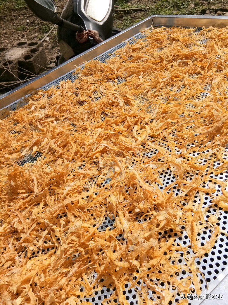 红壳笋干和毛竹笋干,竹笋干怎么吃功效与作用