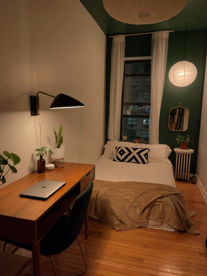 国外网友分享的生活,外国网友分享家里奇奇怪怪的东西