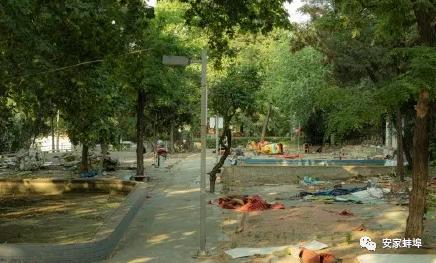 深圳儿童公园建成开放,深圳市南山儿童公园建设时间