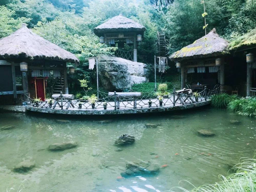 九峰源丨千年神农架，情系女儿城